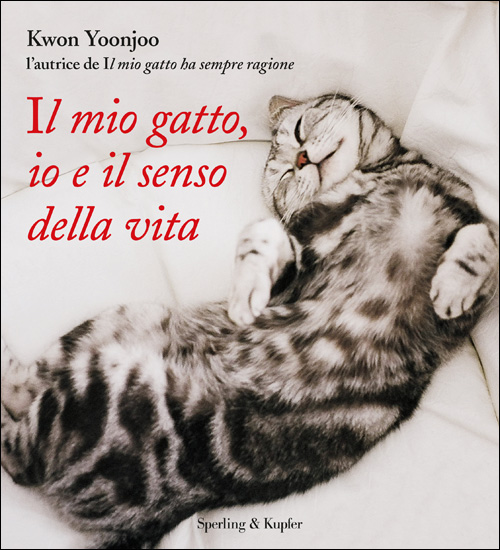 Il mio gatto, io e il senso della vita