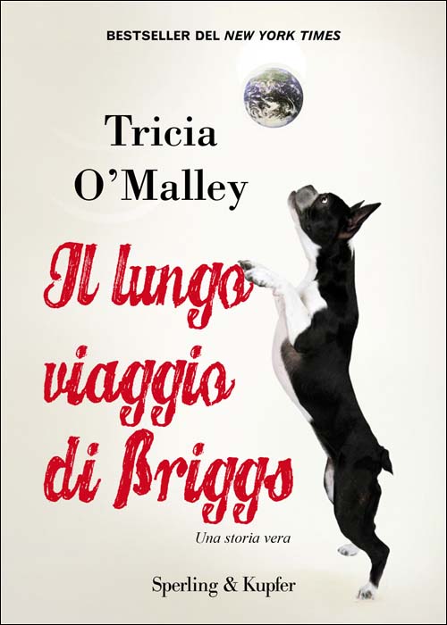 Il lungo viaggio di Briggs