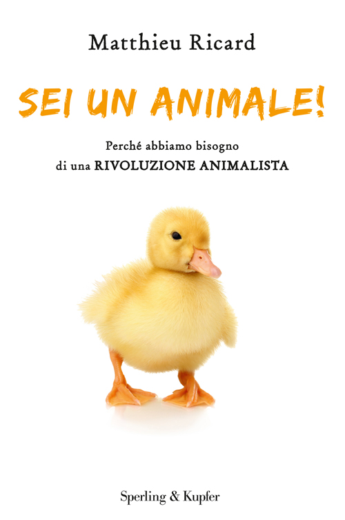 Sei un animale!