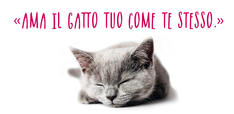 
            	La religione gattolica: vi spieghiamo cos'è!