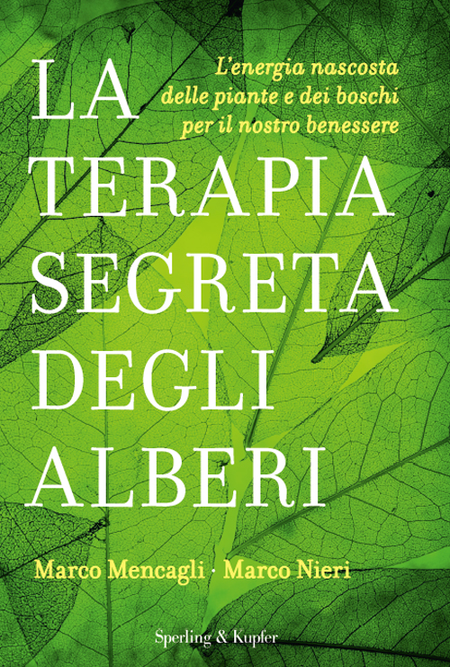 La terapia segreta degli alberi