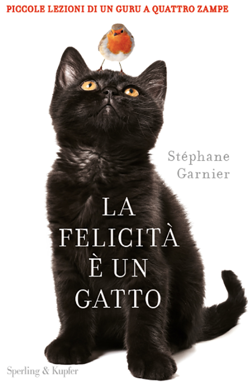 La felicità è un gatto