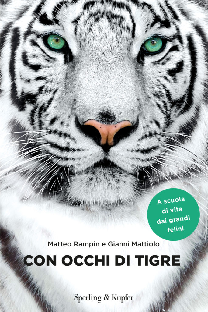 Con occhi di tigre