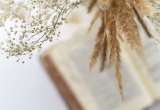 blog