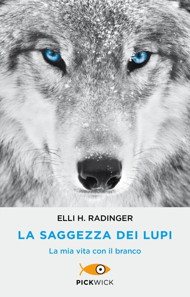 La saggezza dei lupi