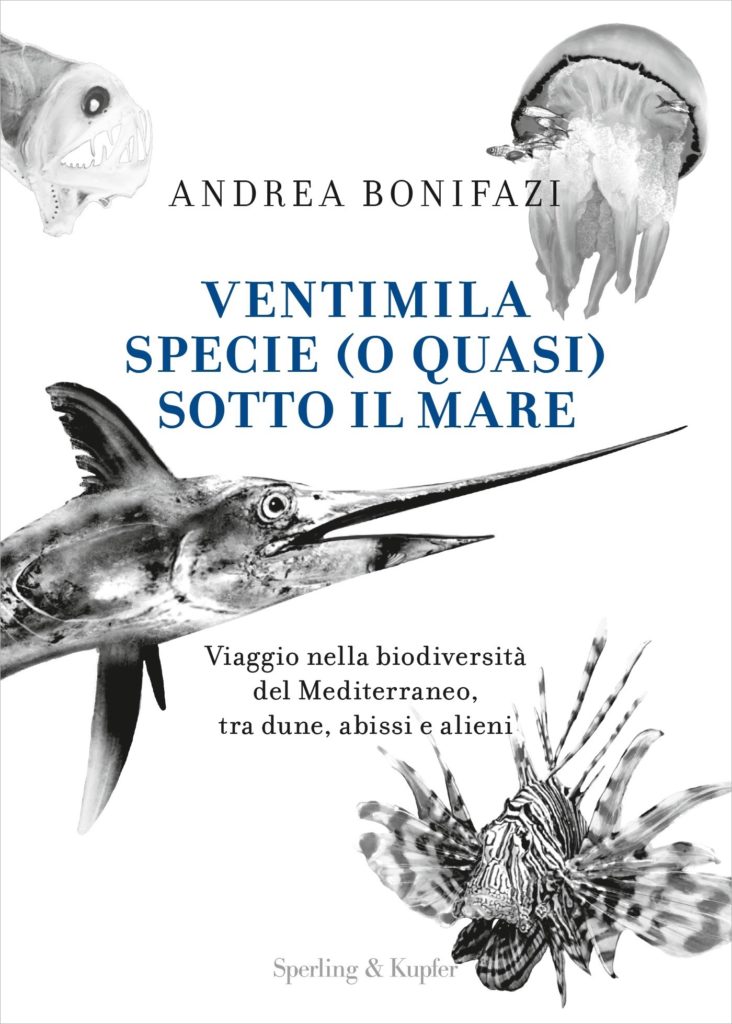 Ventimila specie (o quasi) sotto il mare