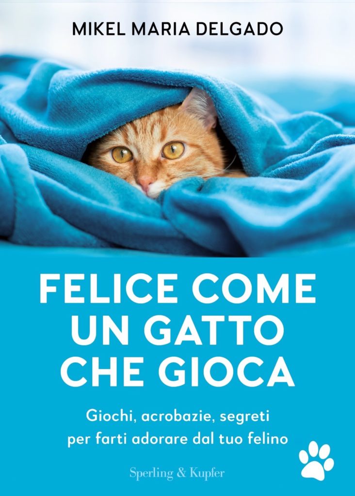 Felice come un gatto che gioca